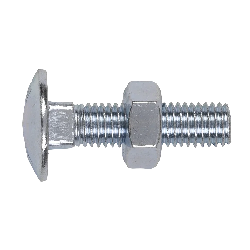 Bolts For Easy Tightening-Sealey Coach Bolt & Nut M10 x 40mm Zinc Pack of 50