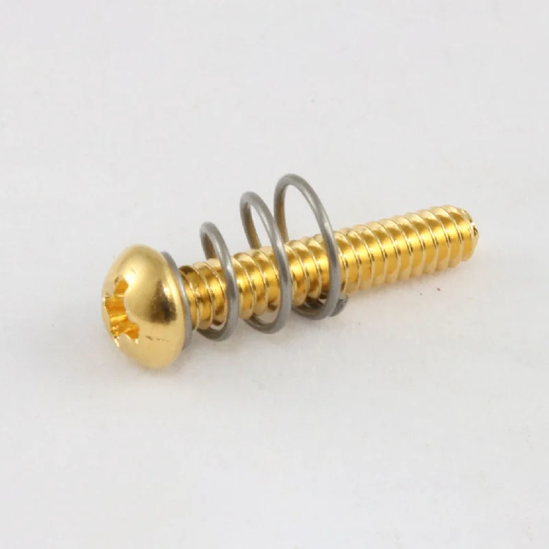 Screws With Industrial Strength-Allparts Single Coil Pickup Screws