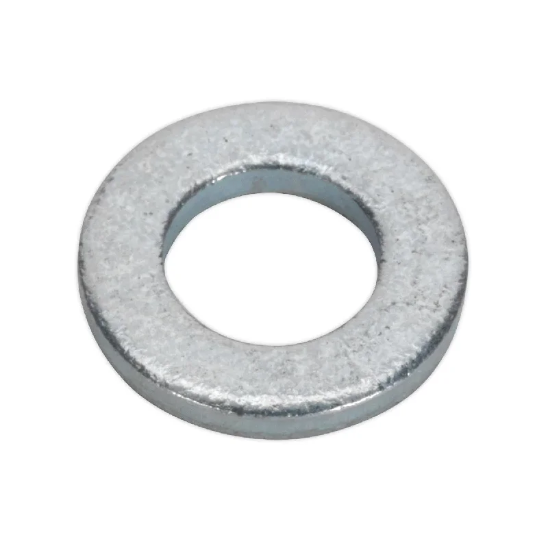 Washers For High School Builds-Sealey Flat Washer M5 x 12.5mm Form C Pack of 100