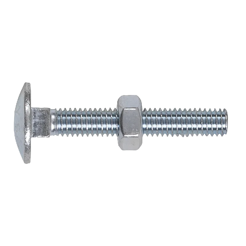 Bolts With High Torque-Sealey Coach Bolt & Nut DON 603 - M6 x 40mm Zinc Pack of 100