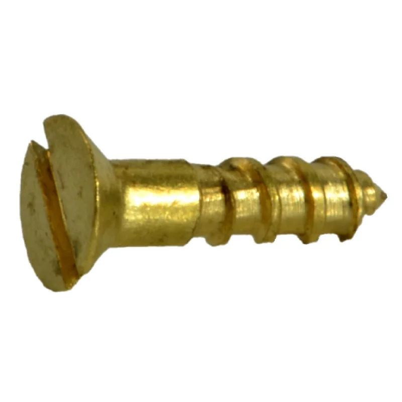 Screws With Celebration Themes-#0 x 1/4" Brass Slotted Flat Head Wood Screws (40 pcs.)