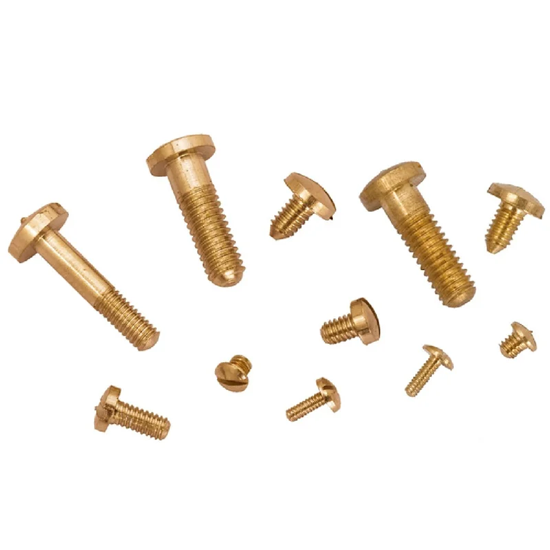 Screws With Coastal Durability-Assorted Brass Screws for Bell & Case fitting (100 Pieces)