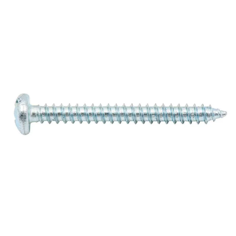 Screws For Rainy Climates-Zenith Self Tap Screw Pan ZP 6G x 30mm (30pk)