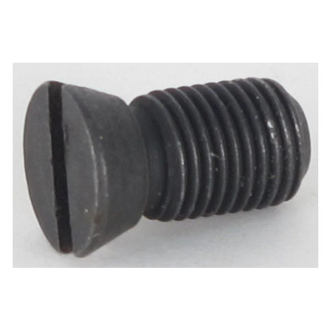 Screws For Heavy Loads-Cycle Electric, generator field coil screw - 58-69 FL; 58-81 XL. With 2-brush generators & all Cycle Electric generators (NU)