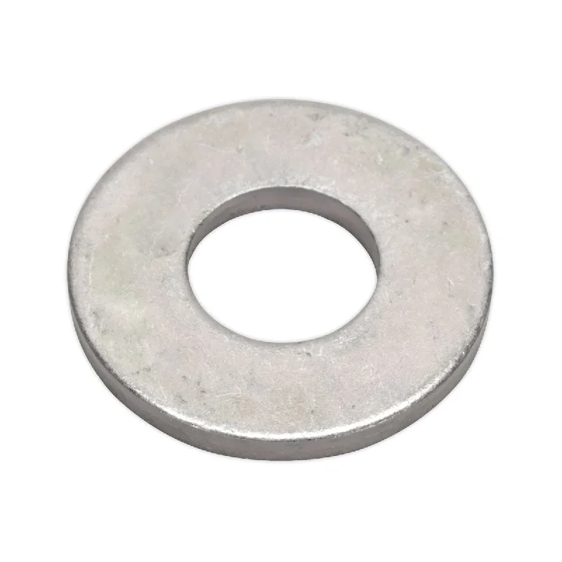 Washers For Party Crafts-Sealey Flat Washer BS 4320 M10 x 24mm Form C Pack of 100