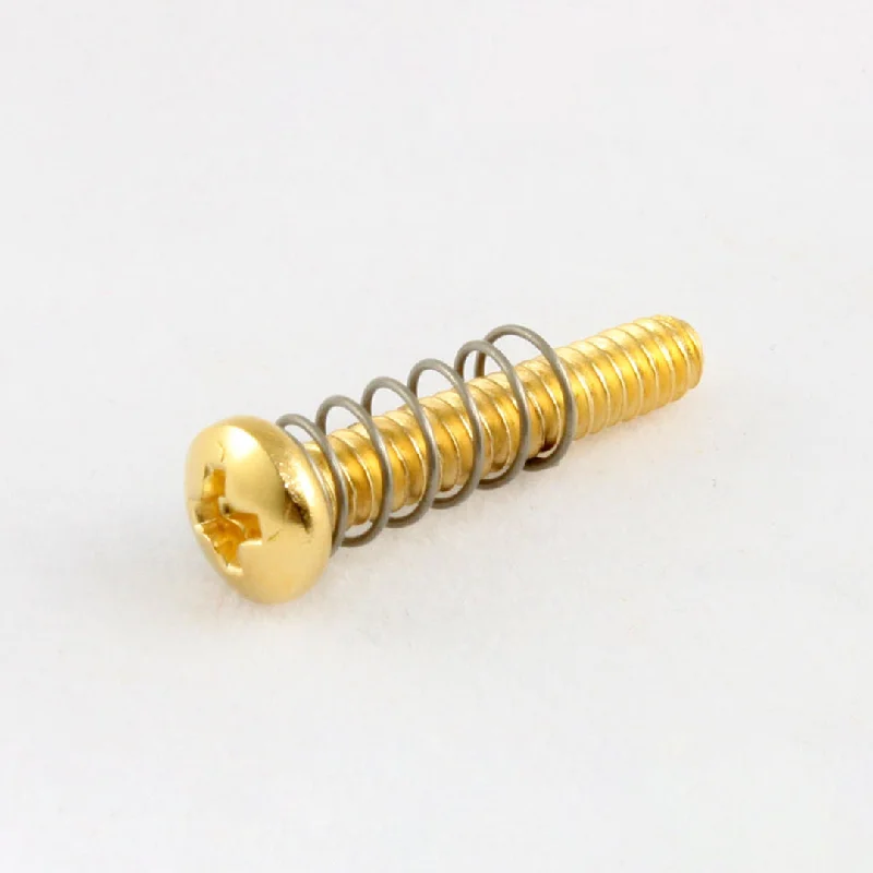 Screws With Sleek Look-Allparts Bridge Length Screws