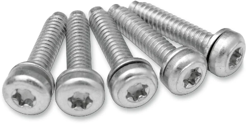 Washers In Silver-EFI MOUNT SCREWS